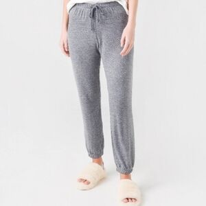 Z Supply Dorm Room Silky Joggers